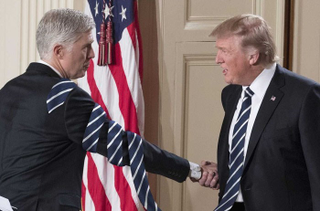 Illustration for article titled Trump Ties